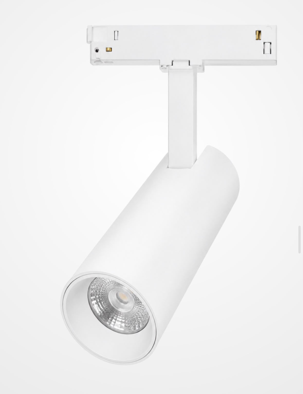 DL20 Optic White 12W/CCTS Magnetic Spot Light
