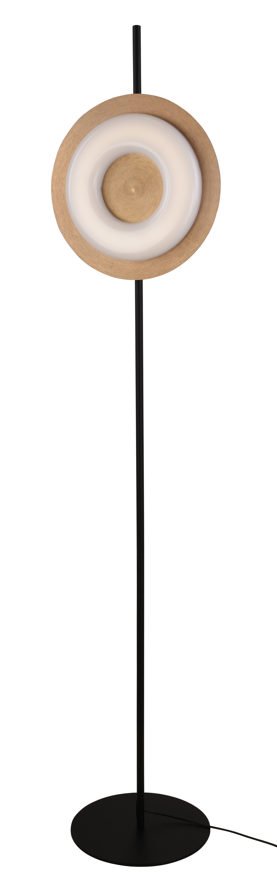 DL10024 Halo Disc LED Floor Lamp (24W CCT)
