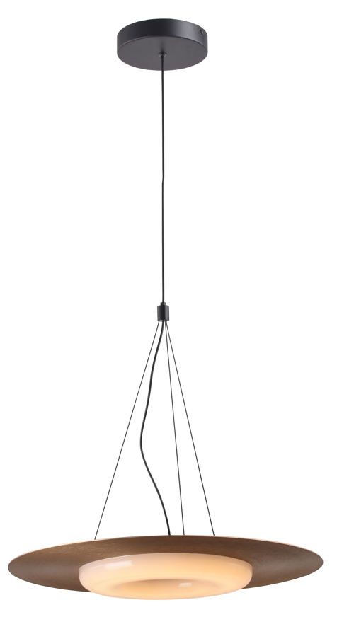 DL10028 Flat Saucer Disc LED Pendant Light (24W CCT) – Indoor Lighting