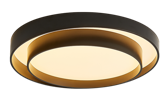 DL10395 Ceiling Light 24W