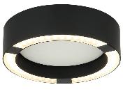 DL11274 Ceiling Spotlight 12W (Ø200)
