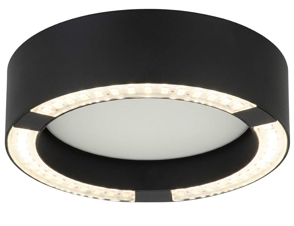 DL11274 Ceiling Spotlight 12W (Ø200)