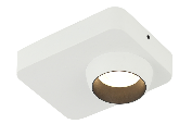 DL11336 Ceiling Spotlight 8W (140)