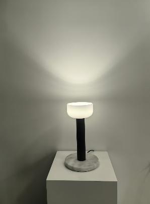 DL11370 Adjustable LED Spot Pendant Light