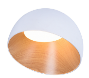 DL11399 Adjustable Dome LED Ceiling Spotlight (Tilted)