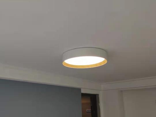 DL11402 Round LED Pendant Spotlight