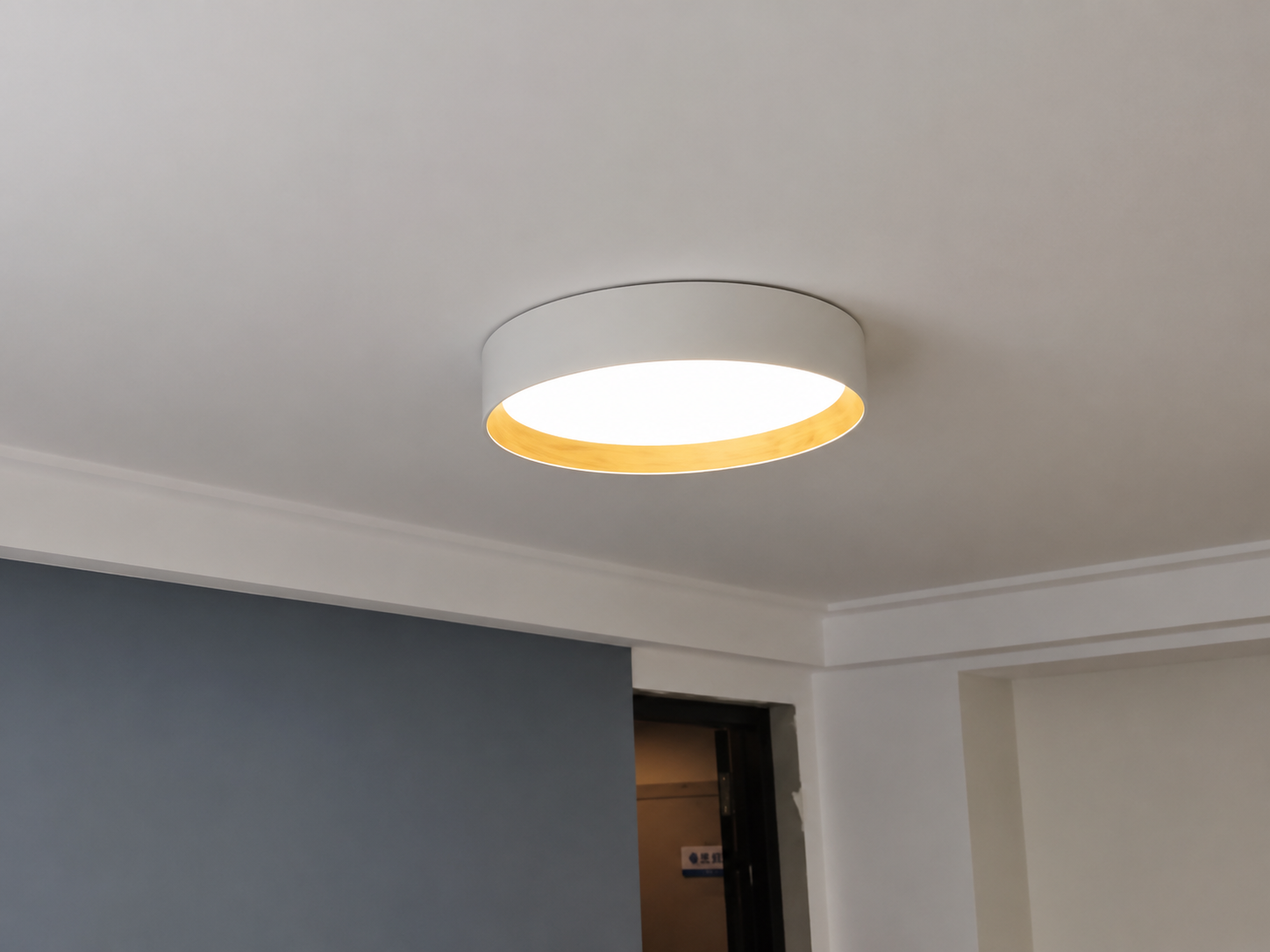 DL11402 Round LED Pendant Spotlight
