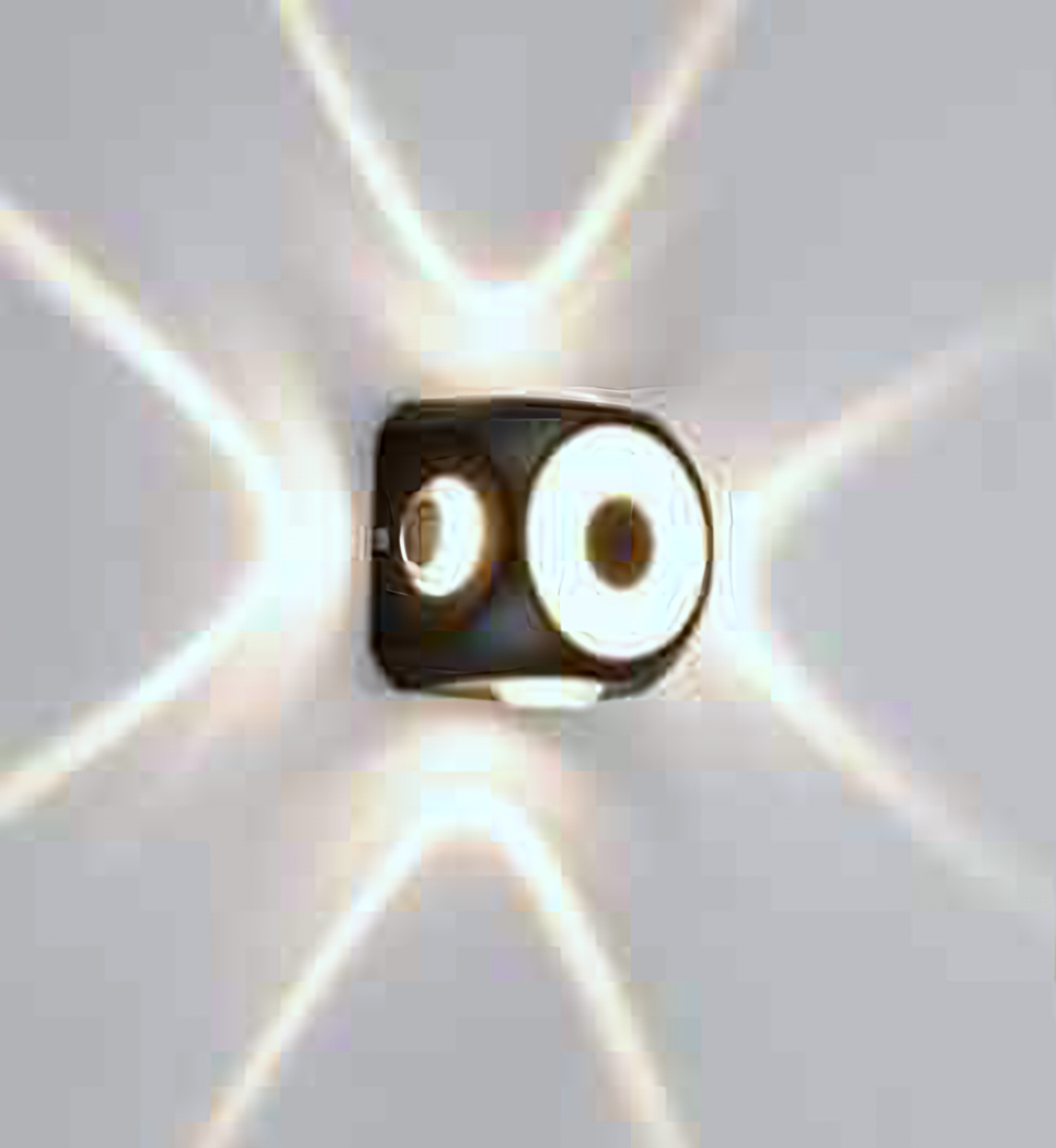 DL11663 Outdoor LED Up/Down Wall Light, Twin-Round (6W)