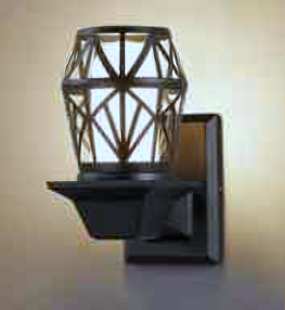 DL11678 Outdoor Wall Lantern, Caged E27 (245*180*135mm)
