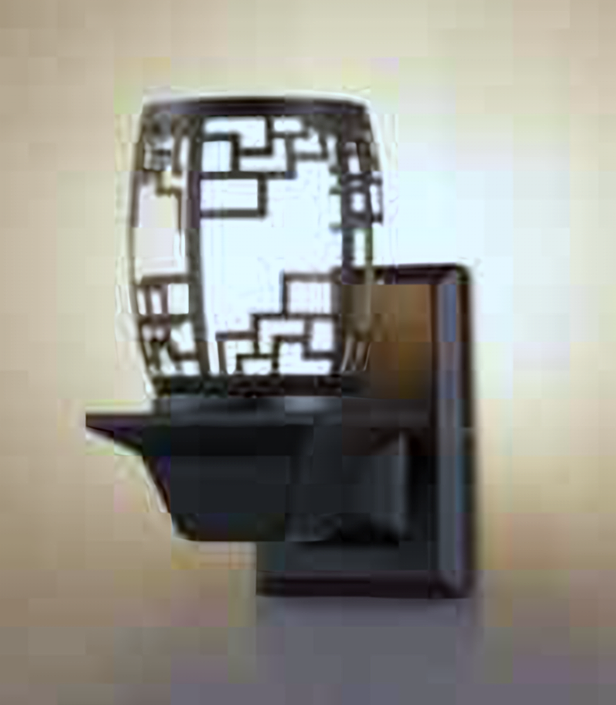 DL11680 Outdoor Wall Lantern, Caged Pendant E27 (245*180*135mm)