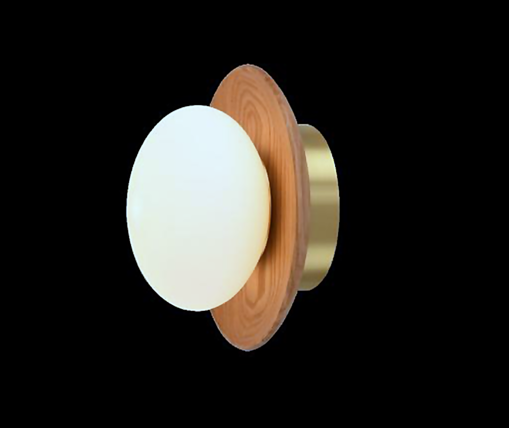DL12780 Oak Wood, Glass & Brass Wall Light (D200mm, G9 6W)