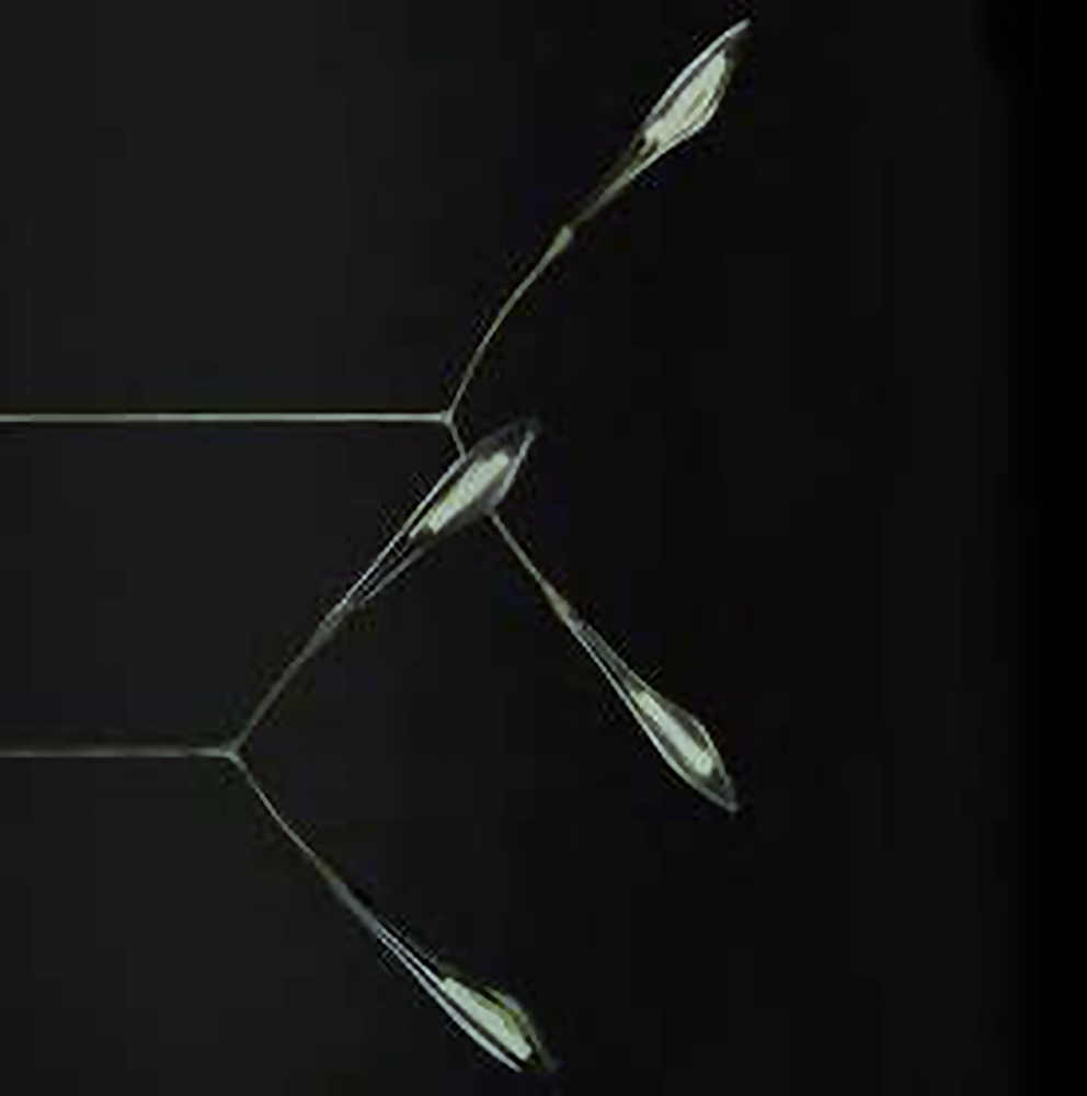 DL13181 Blown Glass Teardrop Leaf Branch Pendant