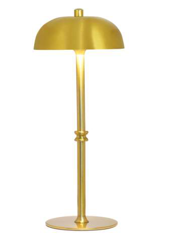 DL14049 Rechargeable LED Table Lamp