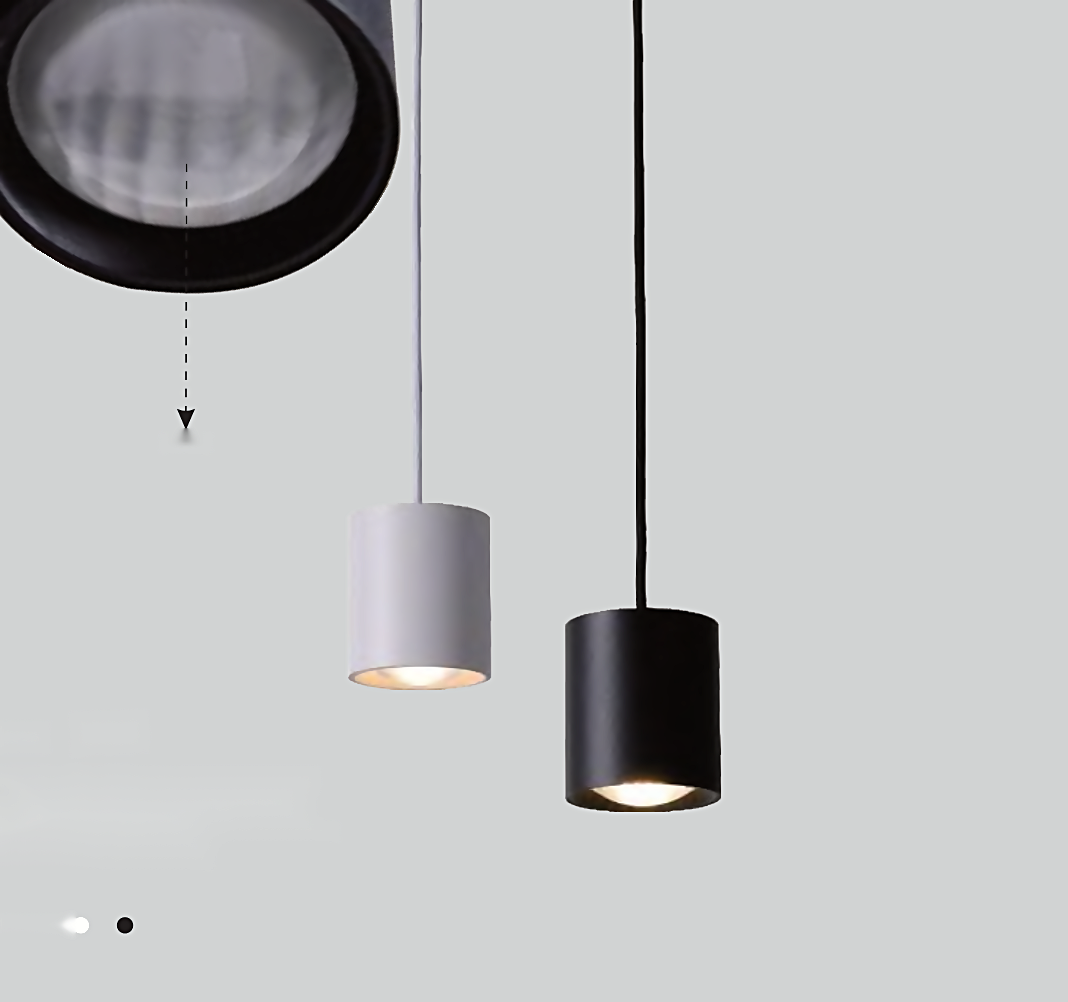 DL14881 Dome Spot Pendant Light