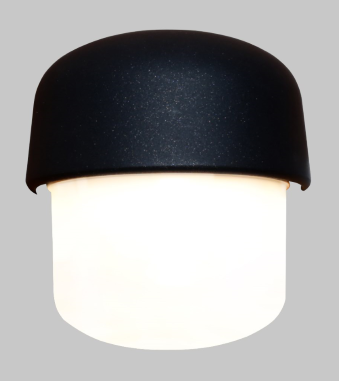 DL15532 Outdoor Wall Lamp (165×150×85mm, LED 12W)