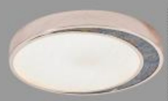 DL16443 Round LED Ceiling Lamp