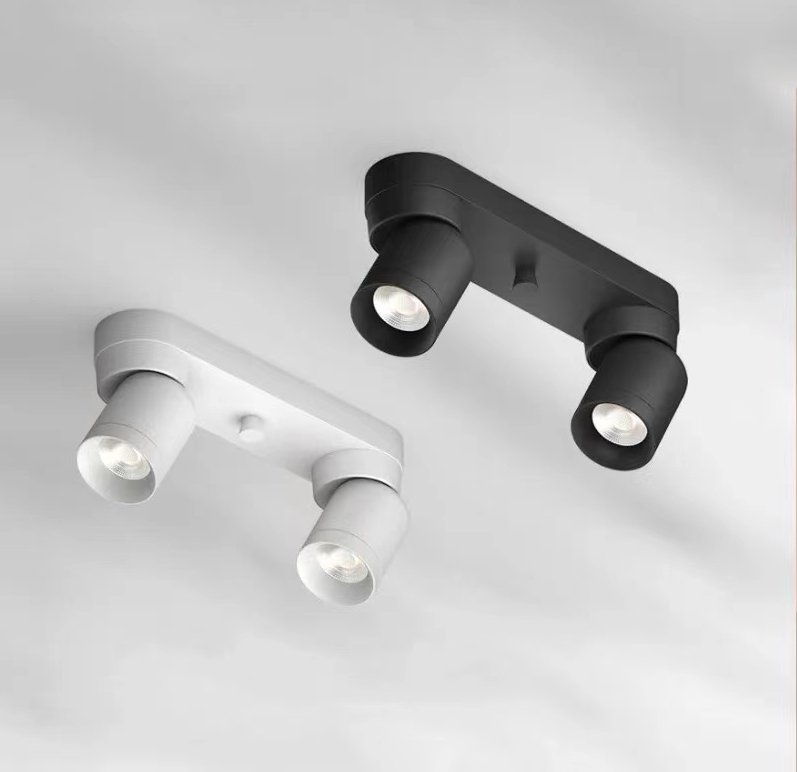 DL16546 Product Name Image Model Base Width+Height+Diameter Power Color Price Inner Box Outer Carton One Piece/Quantity Guardian Model (Multi-head) Guardian 2 heads 7-10w*2 Black/White 78
