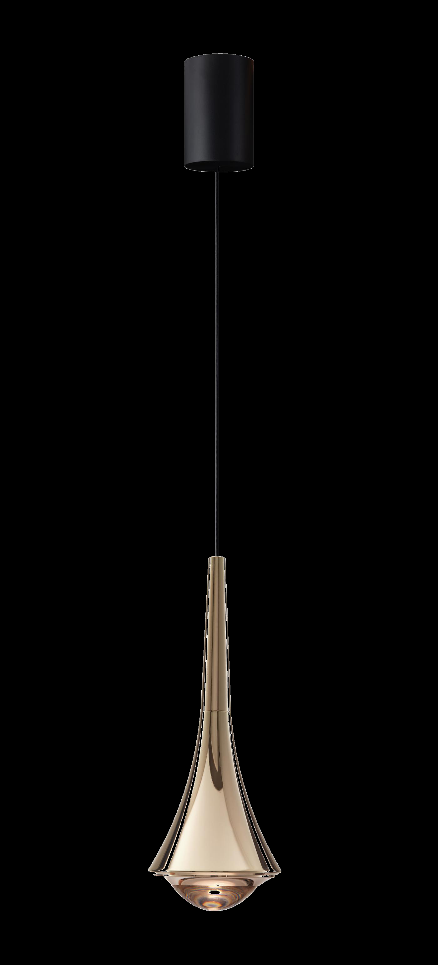 DL17489 Pendant Lamp (Metal, Φ83*220mm)