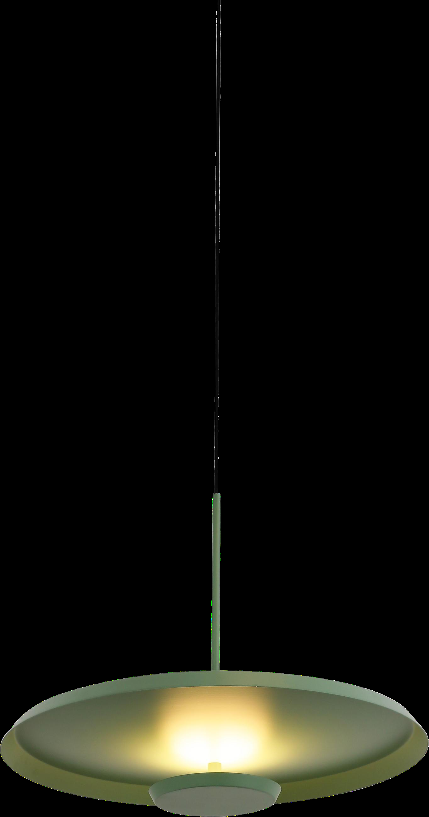 DL17508 Pendant Lamp (Aluminum, D250*H265mm)