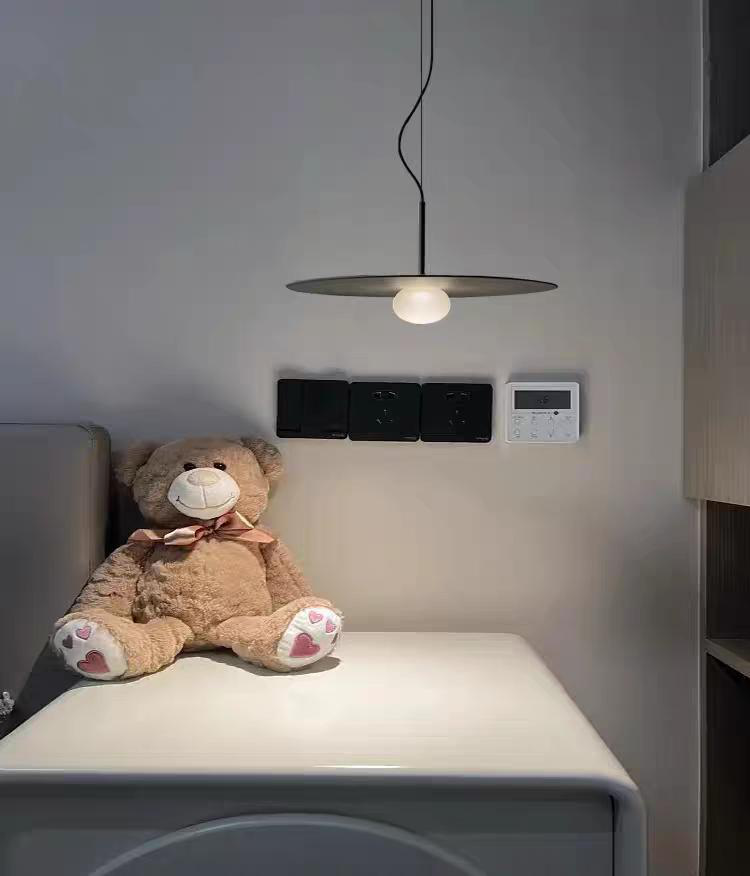 DL17568 Pendant Lamp (Metal + Acrylic, D250mm)