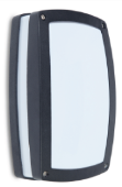 DL17675 Outdoor Wall Light (W181 × H290 × D88mm)
