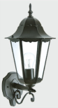 DL17702 Outdoor Wall Lantern (W235 × H510 × D285mm)