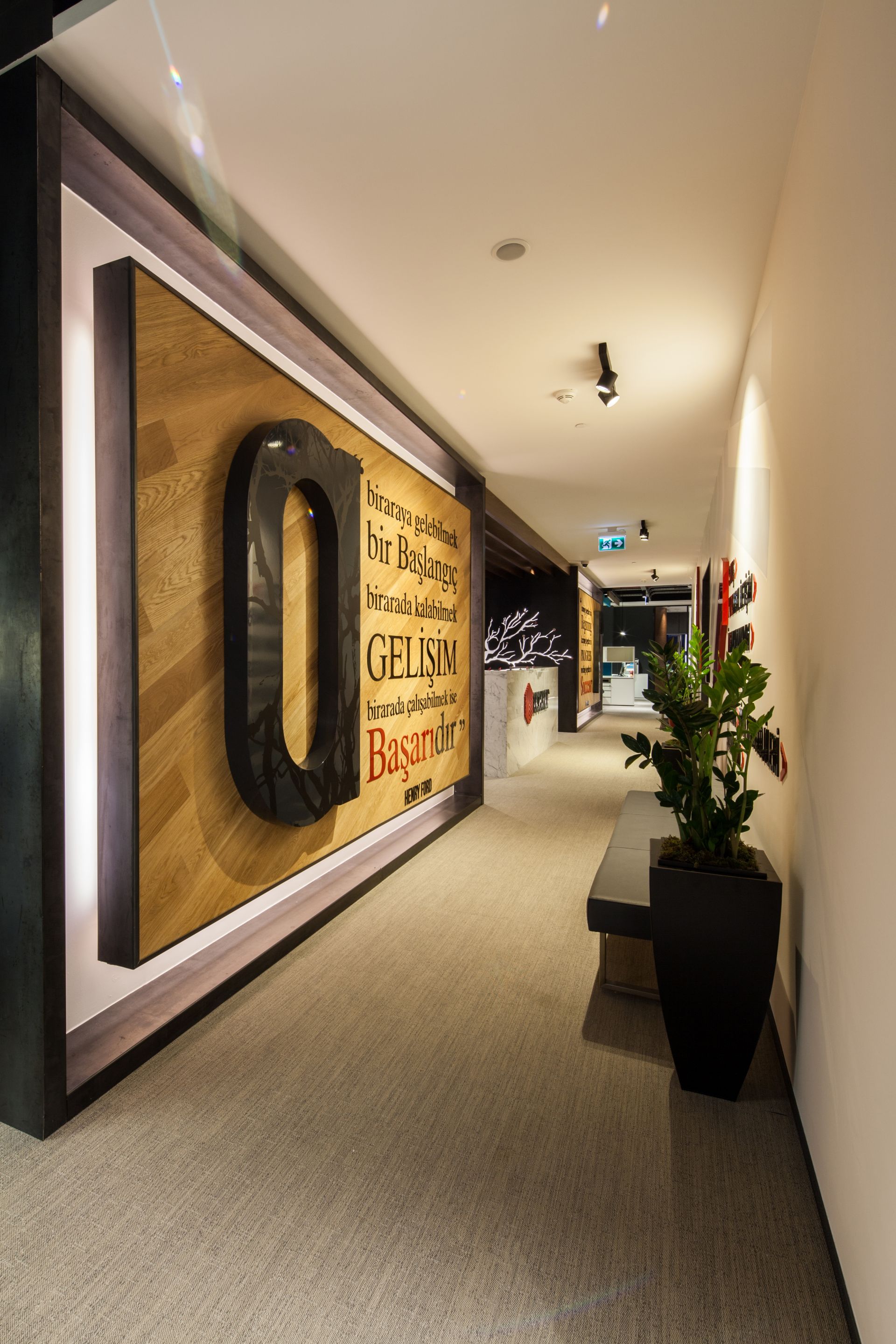 Acemar gallery image 4