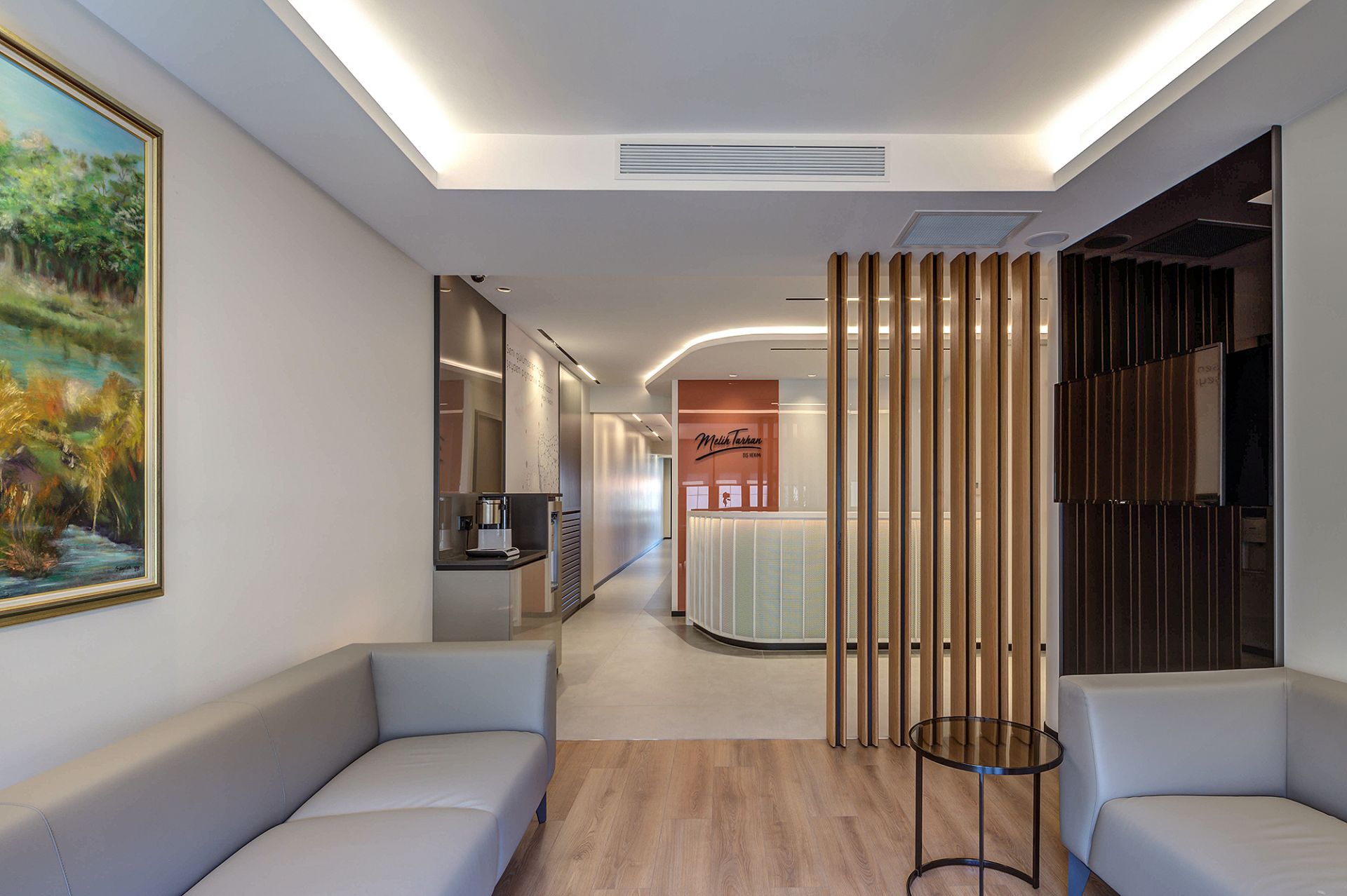 Melih Tarhan gallery image 20